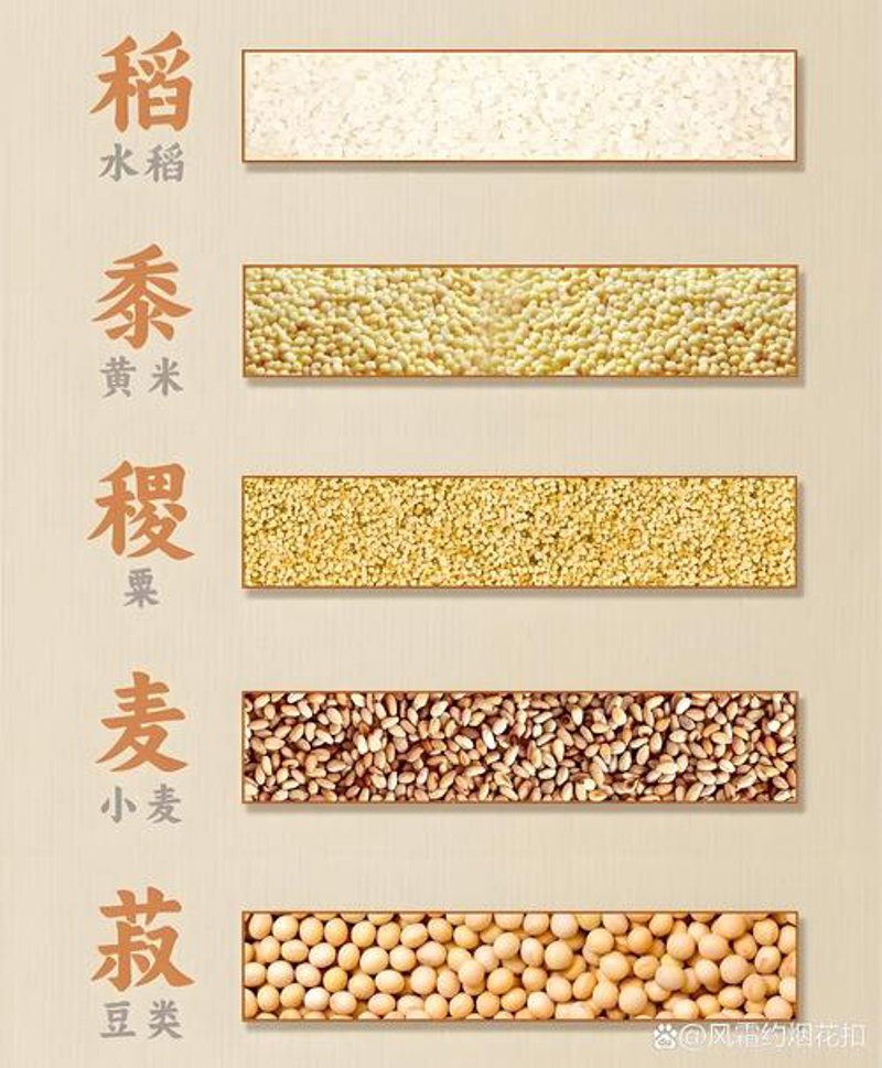 干货批发趋势洞察与行业解析